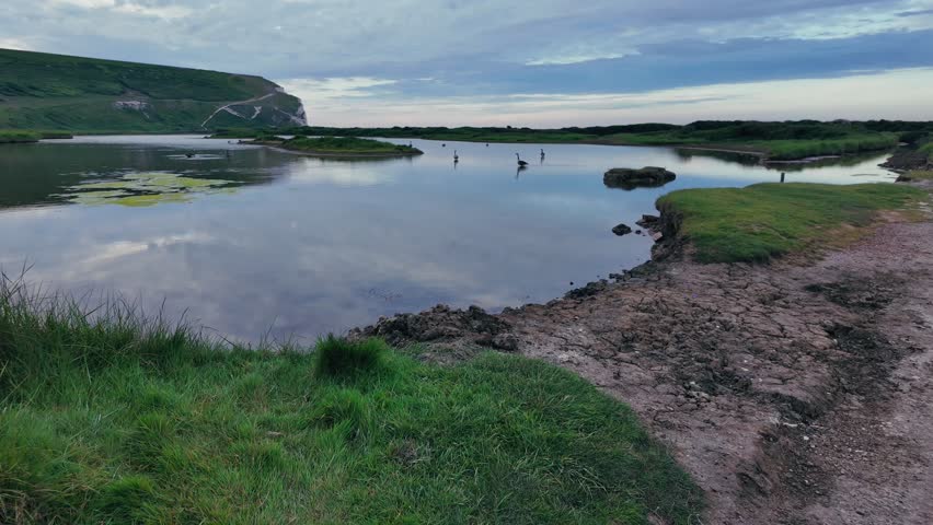 Scenic riverside trail with birds and calm water in natural setting