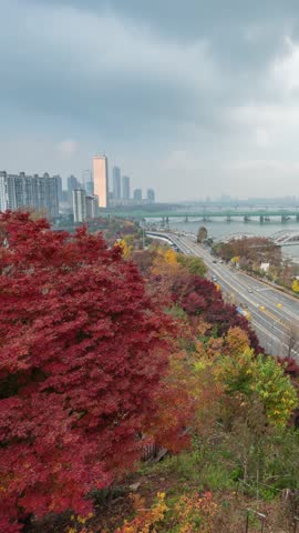Seoul South Korea time lapse city skyline at Hangang Bridge Nodeulseom Island and Han River view from Yongbongjeong Park in autumn (vertical)