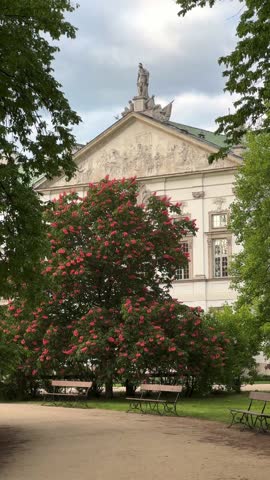 Young woman is walking through a blooming spring park along a path with benches