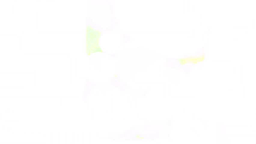 Shutterstock Video