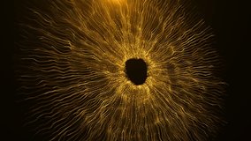 4k Gold Particles Explosion. glitter particle. Golden particle line wave award stage background golden yellow glowing vertical lines slide up, fill the screen and disappear. Laser rays, speed of light - Powered by Shutterstock - Get 15% off with code: PIKWIZARD15