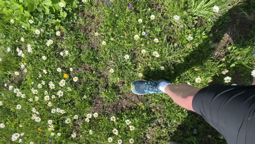 Hiking in Swiss Alps near Grimsel Pass with flowers and Grimsel Lake.Vertical video
