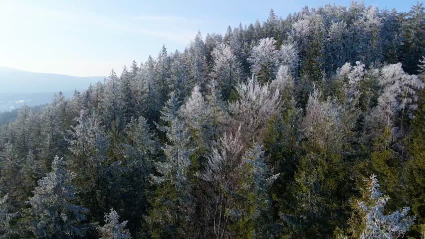frost mountains forest drone view winter snow