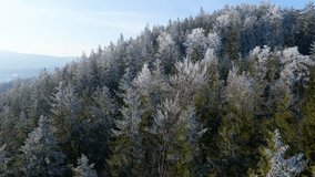frost mountains forest drone view winter snow - Powered by Shutterstock - Get 15% off with code: PIKWIZARD15