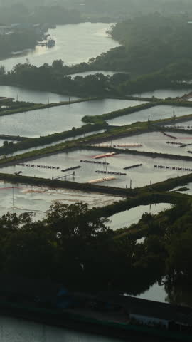 The aquaculture industry in Thailand next to flooded crop fields