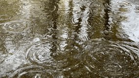 Raindrops fall into a puddle, forming bubbles and waves. Rainy day mood - Powered by Shutterstock - Get 15% off with code: PIKWIZARD15