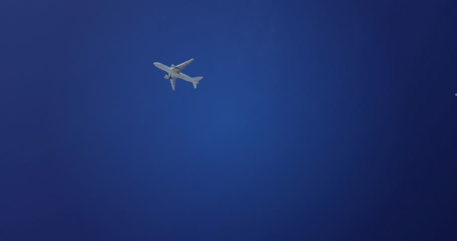 Shutterstock Video