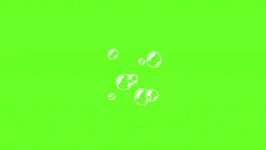 Shutterstock Video