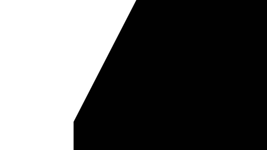20 Day Text Animation Videos On Black Background. 20 Day To Go white Logo Animation Videos. white font against a black background centered well