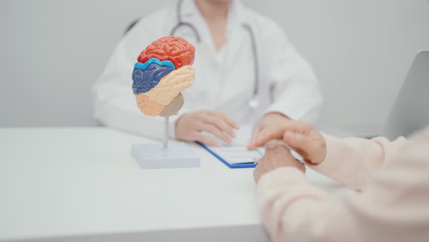 Elderly Patient consulting Doctor to Brain disease, Senior Health Medical Diagnosis. Anatomy Brain model for Explanation, Brain Tumor, neurological disorders, Dementia, alzheimer, parkinson and Mental
