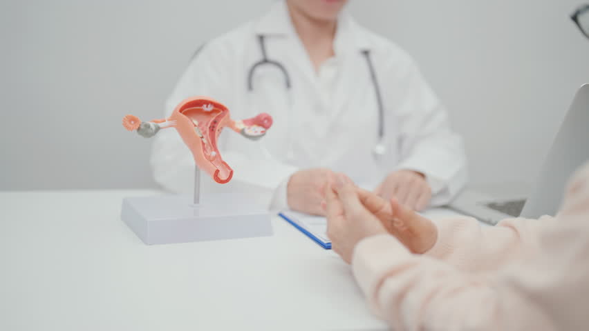 Elderly Woman patient consulting doctor with anatomy Uterus and Ovaries. Ovarian and Cervical cancer, Cervix disorder, Endometriosis, Hysterectomy, Uterine fibroids, Reproductive system and Pregnancy 