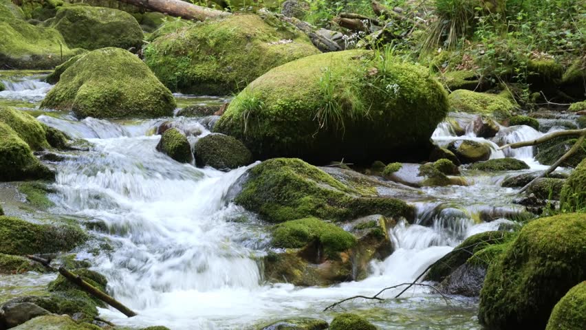 Beautiful Stream in the Black Forest Flowing Admidst Moss Covered Rocks at the Geroldsauer Waterfall near Baden-Baden, Germany