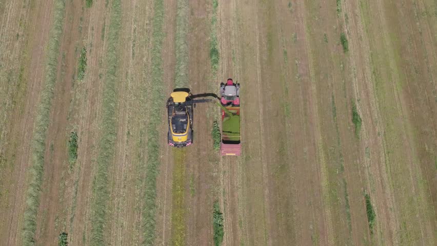 Slow motion drone shot in 70mm with top-down view of a harvester and tractor working in parallel, collecting hay in rows and unloading it into the trailer through a pipe.