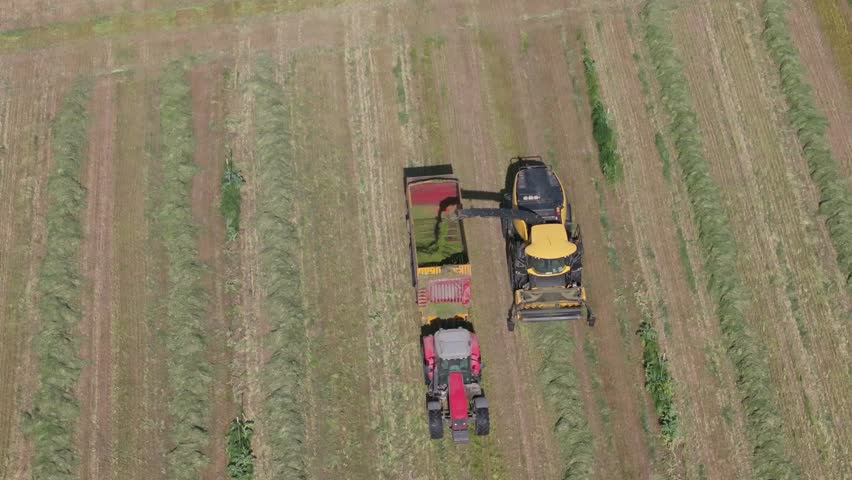 Slow-motion 70mm drone footage of a yellow harvester collecting rowed hay with rotating blades, unloading green hay through a chute into a red trailer pulled by a tractor driving alongside.