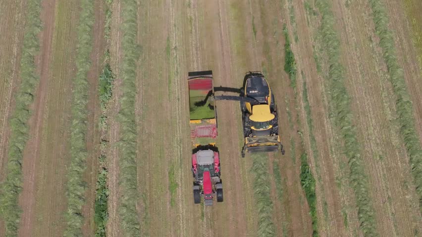 Slow-motion 70mm drone shot of a harvester collecting rowed green hay with rotating blades, unloading it into a trailer pulled by a tractor. Front view reveals long lines of hay yet to harvest.