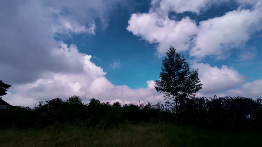 Grass and Trees Silhouette With Blue Sky And Wavy Clouds Background. 4K Quality Footage