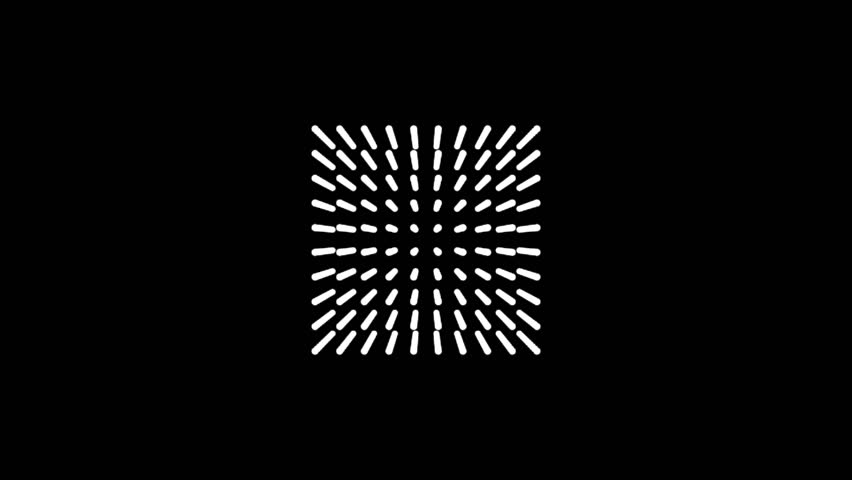 Shutterstock Video