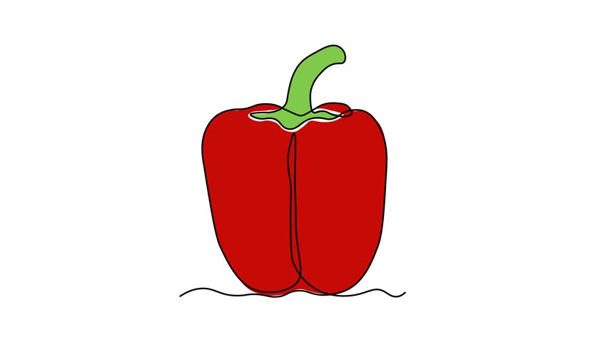 Abstract Bell Pepper, Bulgarian pepper, paprika. Self drawing animation one continuous line draw, logo