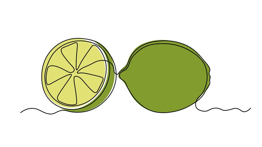 Abstract citrus Lime fruit and its slice, Self drawing animation one continuous line draw, logo