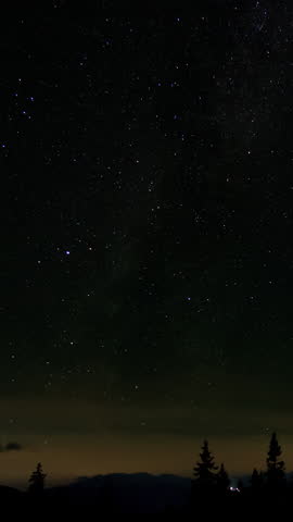 Time lapse of Star trails above silhouettes of trees in the night sky. Epic video, vertical footage