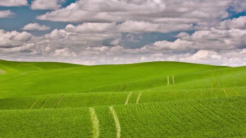 Rolling Green Hills Landscape Under a Cloudy Sky