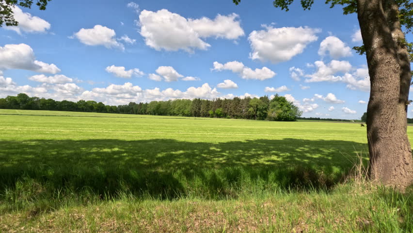 Beautiful Sunny Countryside Scenery Showing Fields And Meadows