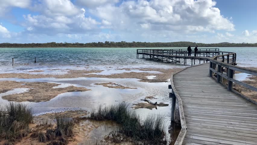 Stromatolite sightseeing by tourists on protected boardwalk in Lake Thetis, Western Australia