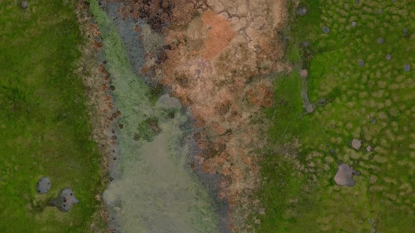 aerial view of the perfect nature