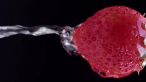 Water pours over strawberries and drips on a black background. Natural vitamin product for fresh or natural juice. Slow motion, 8K downscale, 4K. - Powered by Shutterstock - Get 15% off with code: PIKWIZARD15