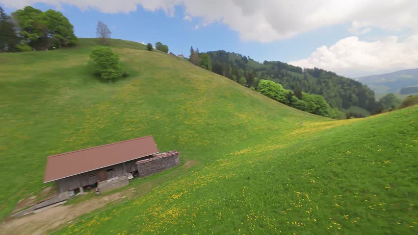 Walking person on grassy mountain with Alpine flowers in Switzerland. FPV drone speed flight into valley. Cloudy day in summer. Hut on top of alp mountains.