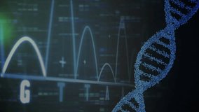 Futuristic DNA helix spiraling upward on dark interface featuring colorful data rings and waveforms. Digital, biotechnology, innovation, technology, science, data visualization, abstract - Powered by Shutterstock - Get 15% off with code: PIKWIZARD15