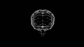 Monochrome 3D brain model floating in black void, showing circuit lines, code, translucent band. Neural network, digital interface, data visualization, biomedical, artificial intelligence, technology, - Powered by Shutterstock - Get 15% off with code: PIKWIZARD15