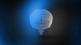 3D brain model floating over dark background, glowing blue equations and geometric graphs spinning. Neuroscience, cognition, visualization, innovation, technology, education, research - Powered by Shutterstock - Get 15% off with code: PIKWIZARD15