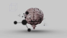 3D human brain model floating over light gray surface, showing molecular diagrams in 3D render. Neuroscience, cognition, biomolecular, innovation, technology, healthcare, research - Powered by Shutterstock - Get 15% off with code: PIKWIZARD15