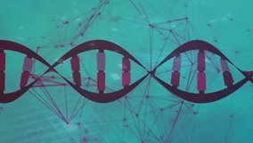 Stylized DNA helix flowing through magenta nodes connected by thin lines and red-purple base pairs. Scientific, futuristic, abstract, genetic, molecular, innovation, technology - Powered by Shutterstock - Get 15% off with code: PIKWIZARD15