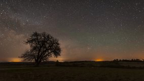 Rising Milky Way Above a Lone Pear Tree in the Fields 4K UHD - Powered by Shutterstock - Get 15% off with code: PIKWIZARD15