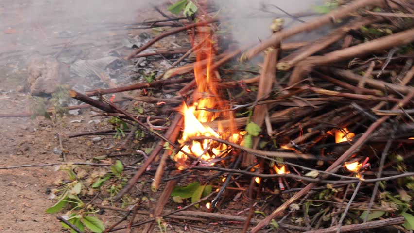 burning dry branches in backyard with small flames and light smoke rising from brush pile on bare ground, concept of garden cleanup, seasonal yard maintenance, outdoor fire management