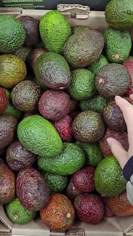 Hand Choosing Avocados in Grocery Store. Vegan Zero Waste girl Buying Fruits and Veggies in Organic local market.
