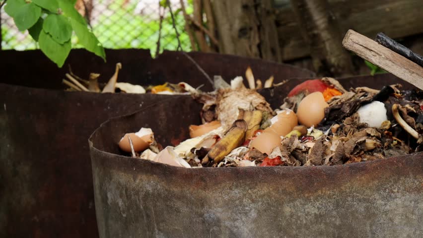 tossing eggshells and fruit peels into outdoor compost bin made from rusty metal barrel in backyard garden, concept of organic waste recycling, composting, sustainable gardening