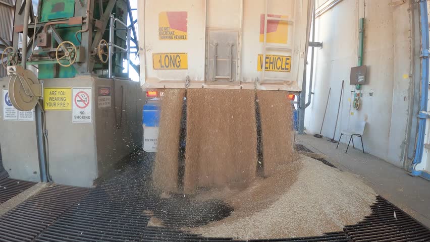 Forward moving view of grains unloading from a truck over a reception grid during harvest season in Western Australia.