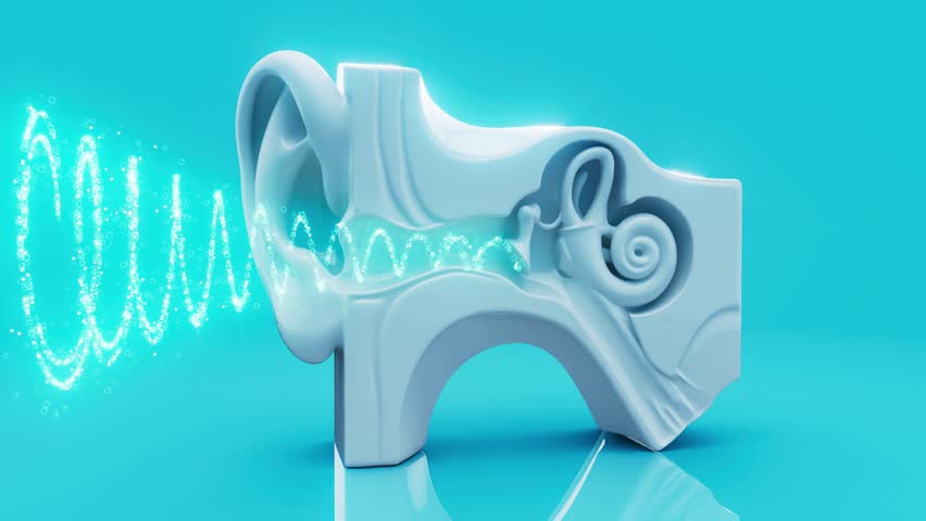 Conceptual 3D animation of an ear animation