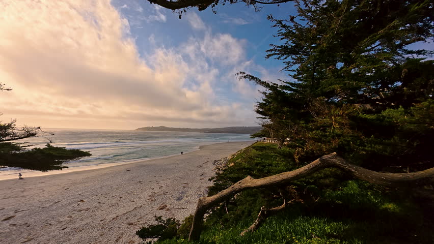 Panning view of Carmel Beach looking through the trees in California.