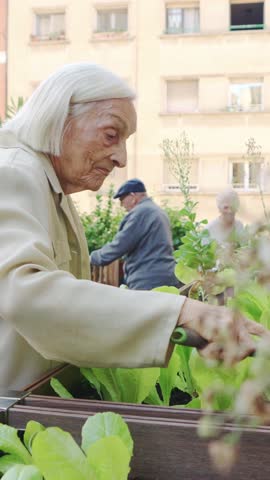Elderly woman gardening with her friends in slow motion