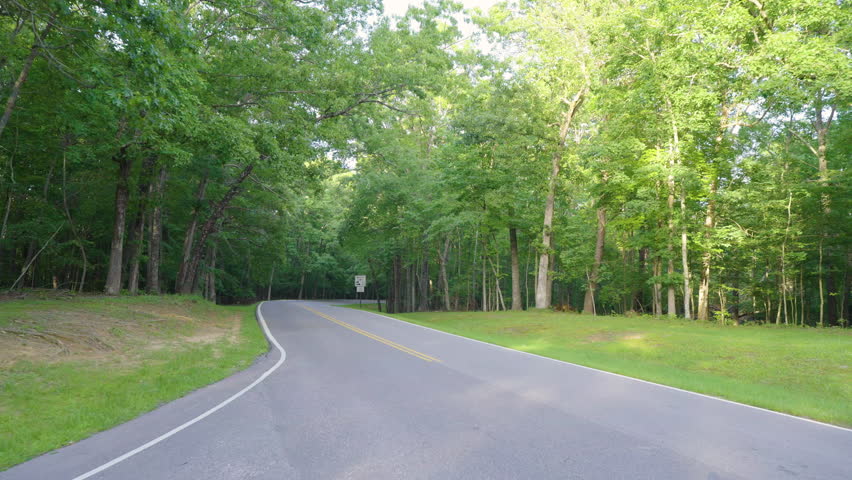 Car POV driving on Blue Ridge Parkway road in summer woods of Appalachian mountains with green canopies in colorful forest. Road trip driving in wild nature in summertime season