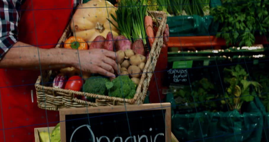 Mature male clerk inspecting potato in grocery store produce section, showing animated line graphs. Fresh produce, retail, rustic, healthy, market, quality, agriculture
