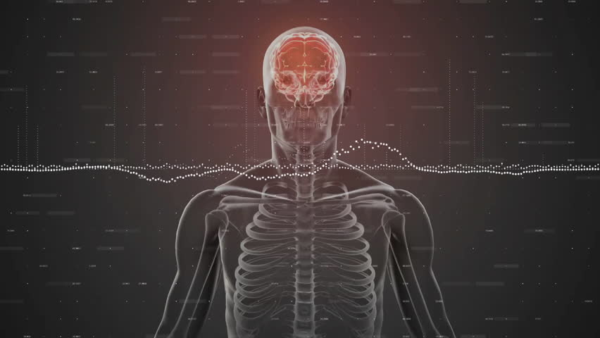 3D render translucent skeleton showing red brain spine presenting dotted waveform and floating data. Anatomy, medical, visualization, neuroscience, digital, futuristic, scientific - Powered by Shutterstock - Get 15% off with code: PIKWIZARD15