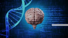 3D human brain floating over glowing blue grid, showing DNA helix, molecular diagrams, code. Neuroscience, biotechnology, molecular biology, scientific visualization, digital interface, biomedical, - Powered by Shutterstock - Get 15% off with code: PIKWIZARD15