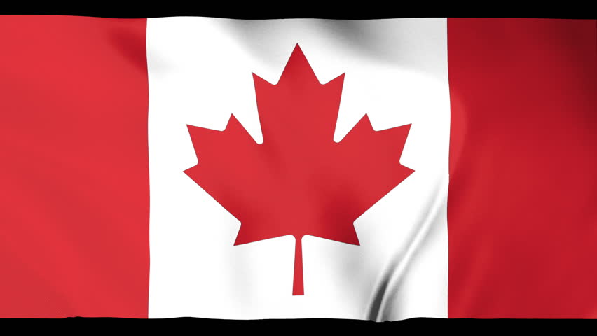 High-quality slow motion animation of the national flag of Canada waving in the wind. This seamless 4K loop shows the iconic red and white flag with the maple leaf at the center, representing Canadian