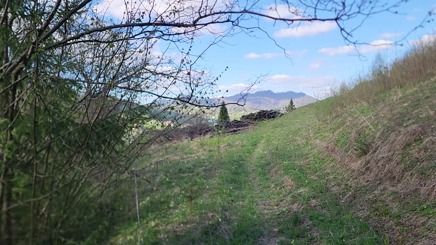 POV Spring Hike Footage to a Forest Trail in the Carpathian Mountains