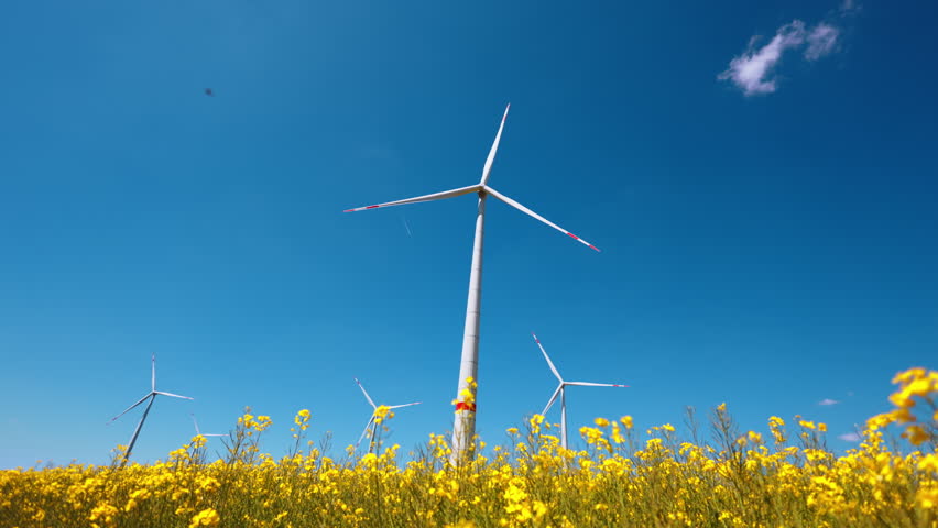 Wind turbines standing tall over a field. Wind turbines rotate against a clear blue sky, surrounded by vibrant yellow flowers in a rural landscape.